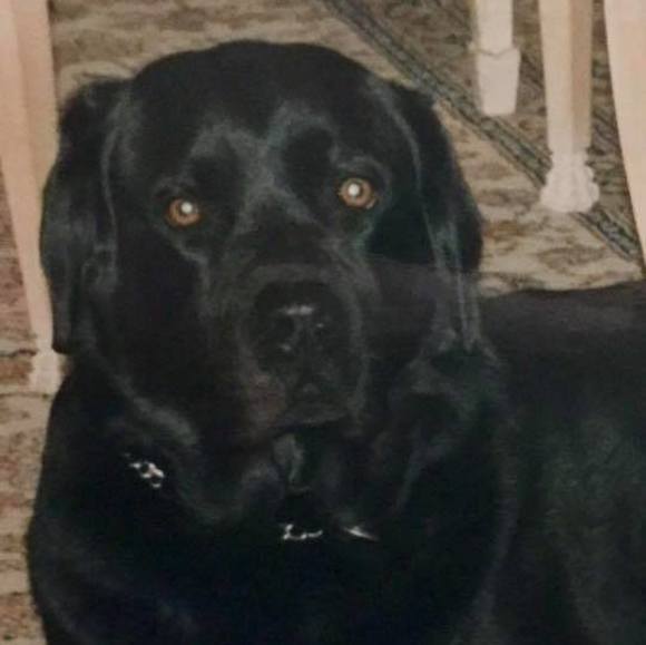 Meet your Posher, Hilary - Picture 1 of 1